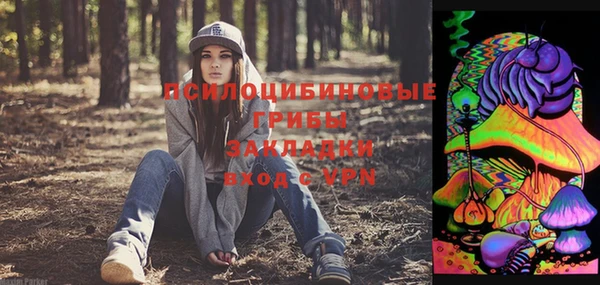 тгк Аркадак