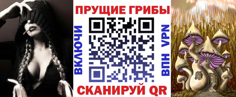 маркетплейс наркотические препараты  магазин продажи   Полысаево  Галлюциногенные грибы MAGIC MUSHROOMS 